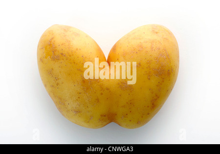Patata (solanum tuberosum), due patate snodato Foto Stock