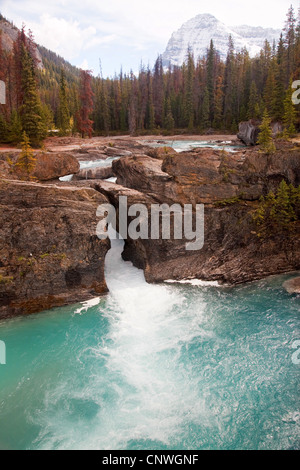 Il Ponte naturale del Fiume Kicking Horse, Canada, British Columbia, Parco Nazionale di Yoho Foto Stock