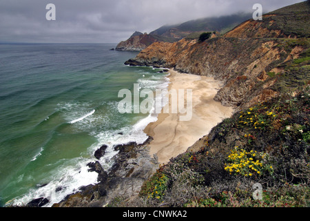 Vista da una scogliera accanto all'autostrada 1 su una solitaria pacific sand beach, Stati Uniti, California Foto Stock