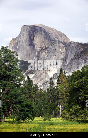 Monolito El Capitan in Yosemite Nationalpark, Stati Uniti, California, Sierra Nevada, il Parco Nazionale di Yosemite Foto Stock