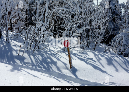 Piste di sci da fondo descritto da un segno in un paesaggio innevato al Schwarzwaldhochstrasse, GERMANIA Baden-Wuerttemberg, Foresta Nera, Hornisgrinde Foto Stock