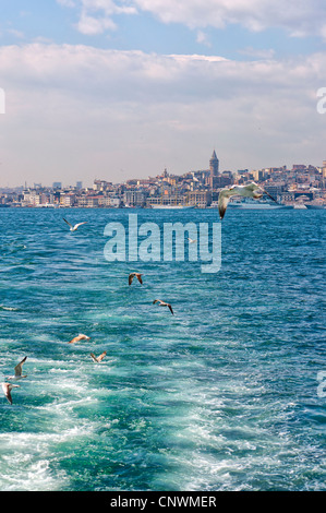 Una vista della regione di Galata di Istanbul da acque di lo stretto del Bosforo. Foto Stock