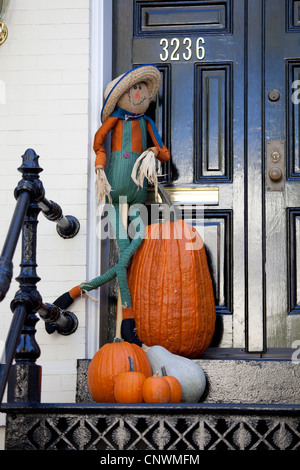 Decorazioni di Halloween in Georgetown Foto Stock