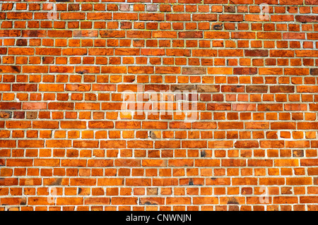 Una vista tipica di un rosso mattone texture di parete per le vostre esigenze di progettazione. Foto Stock