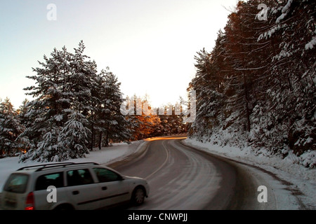 Auto su una strada attraverso i boschi innevati, Romania, Transsylvania, Brasov Foto Stock