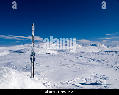 Coppia di sci in cima a una montagna sull'altopiano di Hardanger in Norvegia Foto Stock