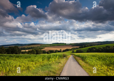 Rocce asfaltiche strada tra cornfields sotto thunderclouds, Germania, Sassonia Foto Stock