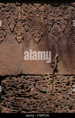 Lizard su un pannello ornamentale da il Banteay Srei tempio di Angkor, Cambogia. Foto Stock