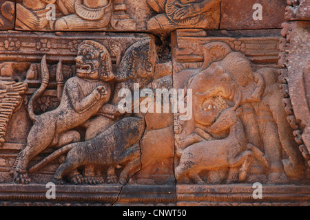 Animali fuga. Sollievo Dal Banteay Srei tempio di Angkor, Cambogia. Foto Stock
