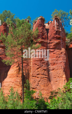 Le rocce color ocra di Roussillon, Francia, in Linguadoca Rossiglione, in Provenza Roussillon Foto Stock