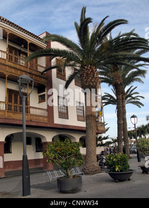 Isola Canarie data palm (Phoenix canariensis), come albero ornamentale di fronte a una casa in centro storico, Isole Canarie, Gomera, San Sebastian Foto Stock