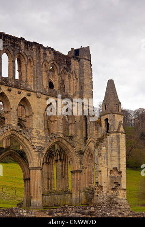 L'estremità est della chiesa di Rievaulx Abbey North Yorkshire Foto Stock