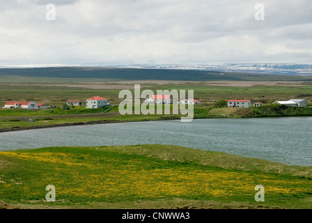 Vista sulla Mvatn (lago di moscerini) con alcune case a riva, Islanda, Myvatn, Skutustadir Foto Stock