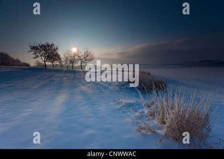 Paesaggio invernale nella luce del mattino, in Germania, in Sassonia, Vogtlaendische Schweiz Foto Stock