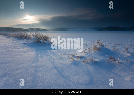 Paesaggio invernale nella luce del mattino, in Germania, in Sassonia, Vogtlaendische Schweiz Foto Stock