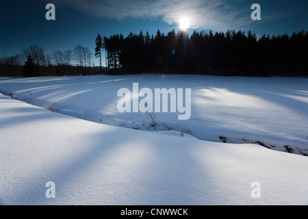 Fosso nel paesaggio invernale, in Germania, in Sassonia, Vogtlaendische Schweiz Foto Stock