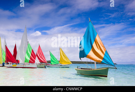 Maurizio barca di legno chiamato Pirogue, regata, Mauritius, Oceano Indiano Foto Stock