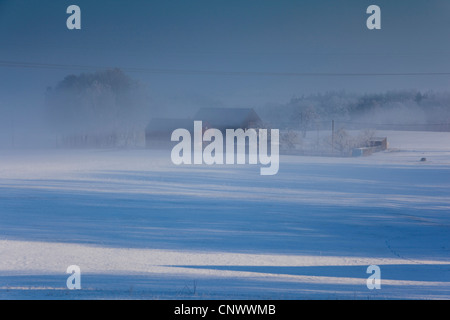 Colonica nella nebbia mattutina, in Germania, in Sassonia, Vogtland Foto Stock