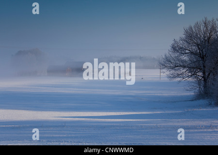 Colonica nella nebbia mattutina, in Germania, in Sassonia, Vogtland Foto Stock