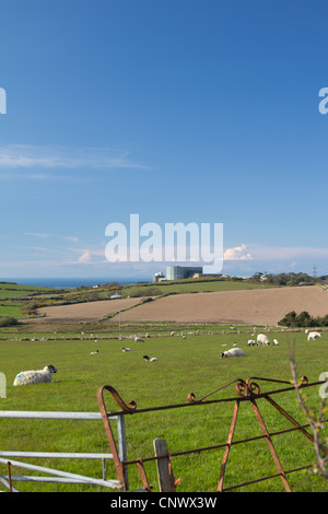 Wylfa Centrale Nucleare, Cemaes, Anglesey Foto Stock