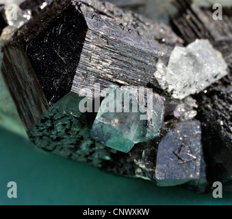 Tormalina nera cristallo con cristalli di fluorite Foto Stock