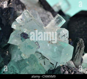 Tormalina nera cristalli con cristalli di fluorite Foto Stock