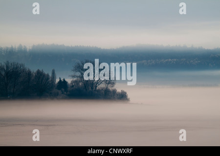 Paesaggio invernale nella nebbia mattutina, in Germania, in Sassonia, Vogtland Foto Stock