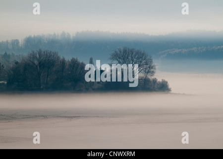 Paesaggio invernale nella nebbia mattutina, in Germania, in Sassonia, Vogtland Foto Stock