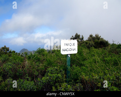 Parco nazionale di firmare a Laura Silva, Isole Canarie, Gomera, Parco Nazionale di Garajonay Foto Stock