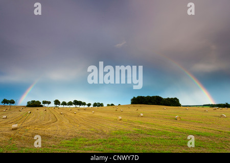 Rainbow su un campo di raccolto con haybales, Germania, Sassonia Foto Stock