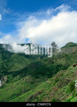 Roque de Agando in nuvole sopra il Barranco de Benchijigua, Isole Canarie, Gomera Foto Stock