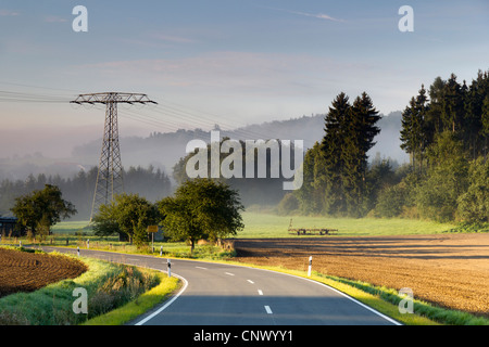 Strada di campagna con prati nella nebbia di mattina la cancellazione di distanza, in Germania, in Sassonia, Vogtlaendische Schweiz Foto Stock