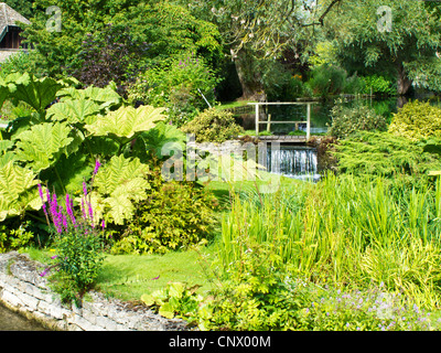 La vista dalla strada di Bibury allevamento di trote nel grazioso English Cotswold village di Bibury in Gloucestershire England Regno Unito. Foto Stock