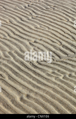 Strutture in sabbia di Strathy Bay, Regno Unito, Scozia, Sutherland Foto Stock