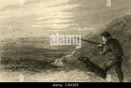 Circa 1870 incisione, anatra selvatica di ripresa. Foto Stock