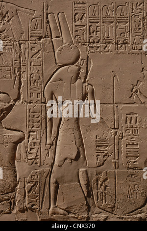 Antico dio egizio Horus. Sollievo nella grande sala hypostyle nel complesso del Tempio di Karnak a Luxor, Egitto. Foto Stock