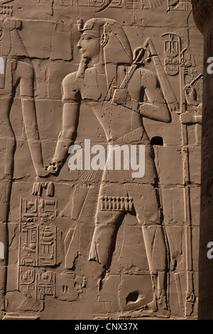 Il faraone Ramesse II. Sollievo nella grande sala hypostyle nel complesso del Tempio di Karnak a Luxor, Egitto. Foto Stock