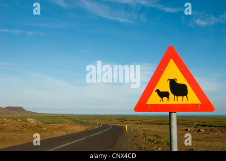 Cartello stradale avviso contro le pecore, Islanda Foto Stock