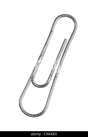 Graffetta close-up isolate su sfondo bianco Foto Stock