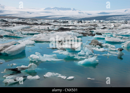 Il lago glaciale Joekulsarlon pieno di ghiaccio in fusione di fronte del ghiacciaio Breidamerkurjoekull, Islanda Foto Stock