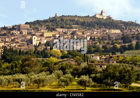 Vista del centro storico di Assisi, in Italia, in Umbria, Assisi Foto Stock