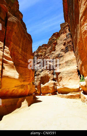 Strada nella gola tra le montagne. Petra, Giordania Foto Stock