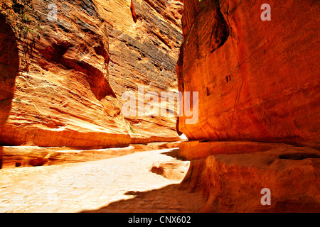 Strada nella gola tra le montagne. Petra, Giordania Foto Stock