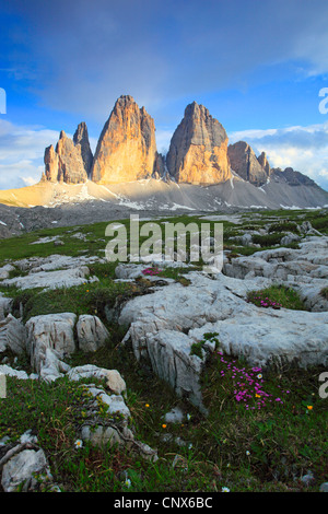 Impressionante montagna formazione " Le Tre Cime di Lavaredo' ('Tre Cime" / "grandi" di picco 2999 m) nella luce del mattino, Italia, Alto Adige, Dolomiti Foto Stock
