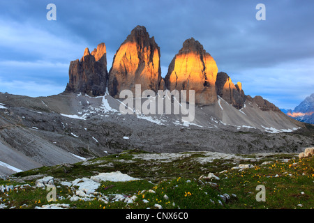 Impressionante montagna formazione " Le Tre Cime di Lavaredo' ('Tre Cime" / "grandi" di picco 2999 m) nella luce del mattino, Italia, Alto Adige, Dolomiti Foto Stock