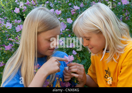 I fratelli guardando un malva, Germania Foto Stock