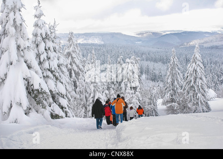 Gruppo di escursionismo a piedi attraverso una coperta di neve paesaggio forestale, in Germania, in Renania settentrionale-Vestfalia, Sauerland Foto Stock