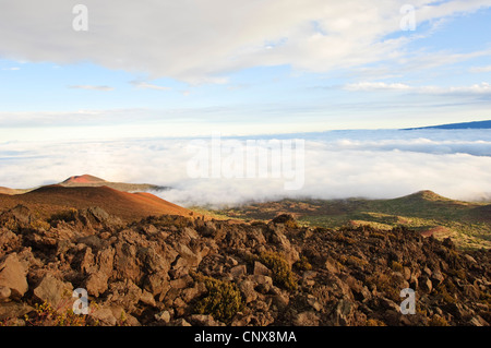 Mauna Kea, STATI UNITI D'AMERICA, Hawaii, Big Island Foto Stock