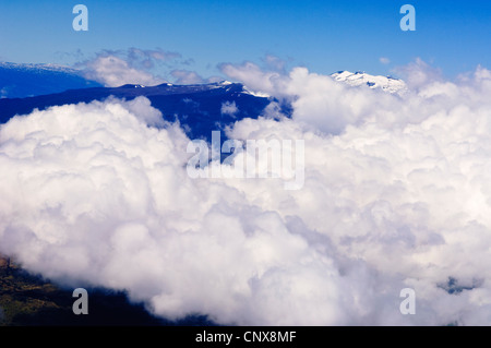 La copertura nuvolosa a Mauna Kea, STATI UNITI D'AMERICA, Hawaii, Big Island Foto Stock