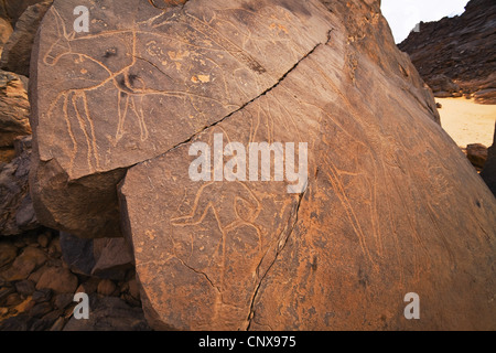 Incisioni rupestri nel deserto di pietra del Tassili Maridet, Libia Foto Stock